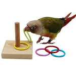 Bird Training Toys Set Wooden Block Puzzle Toys for Parrots Colorful Plastic Rings Intelligence Training Chew Toy Bird Supplies