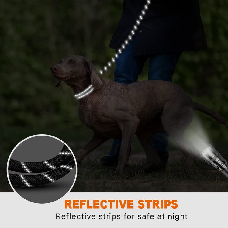 Hands Free Jogging: Elastic Dog Leash with Adjustable Waist & Padded Handle Reflective for Safe Running with Your Pet