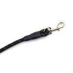 Hands Free Jogging: Elastic Dog Leash with Adjustable Waist & Padded Handle Reflective for Safe Running with Your Pet