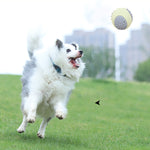 Dog Chew Ball Toy Durable Dog Ball Toy for Aggressive Chewers, a Natural Rubber Dog Toy for Large Medium Dogs That Helps with Dog Separation Anxiety, Dishwasher Safe