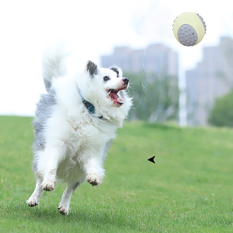 Dog Chew Ball Toy Durable Dog Ball Toy for Aggressive Chewers, a Natural Rubber Dog Toy for Large Medium Dogs That Helps with Dog Separation Anxiety, Dishwasher Safe