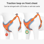 Comfort & Safety: Reflective No-Pull Harness and Leash Set
