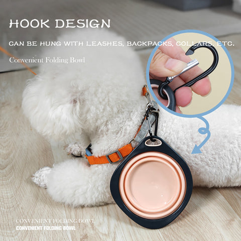 Collapsible Dog Bowls: Portable & Foldable Silicone Cups for Pets