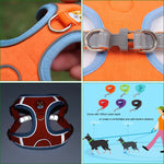 Comfort & Safety: Reflective No-Pull Harness and Leash Set