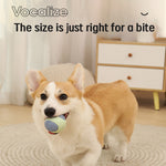 Dog Chew Ball Toy Durable Dog Ball Toy for Aggressive Chewers, a Natural Rubber Dog Toy for Large Medium Dogs That Helps with Dog Separation Anxiety, Dishwasher Safe