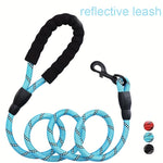 Hands Free Jogging: Elastic Dog Leash with Adjustable Waist & Padded Handle Reflective for Safe Running with Your Pet