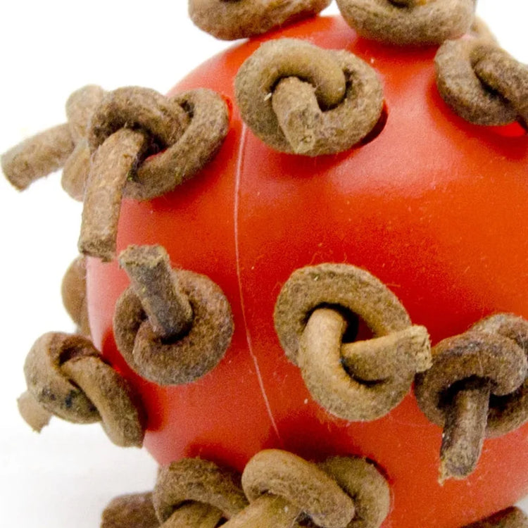 Bird Ball Chew Toy with Knots 4Cm Dia Foot Toy Suitable for Amazon Parrot African Grey Cockatoo Pet Supplies