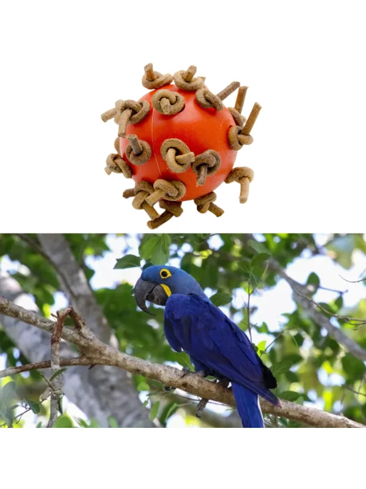 Bird Ball Chew Toy with Knots 4Cm Dia Foot Toy Suitable for Amazon Parrot African Grey Cockatoo Pet Supplies