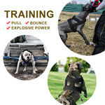 Dog Weight Pulling Harness and Leash Soft Padded Dogs Sledding Harnesses with Durable Lead Rope Pitbull Big Large Dogs Training
