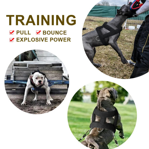 Dog Weight Pulling Harness & Leash Set: Durable Padded for Training Large Dogs