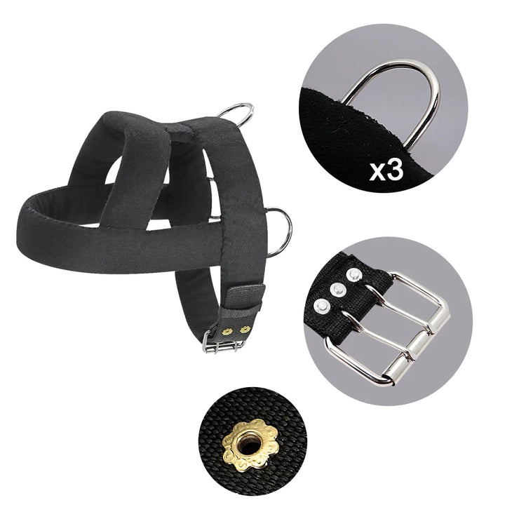 Dog Weight Pulling Harness and Leash Soft Padded Dogs Sledding Harnesses with Durable Lead Rope Pitbull Big Large Dogs Training