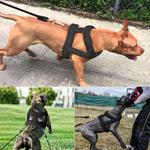 Dog Weight Pulling Harness and Leash Soft Padded Dogs Sledding Harnesses with Durable Lead Rope Pitbull Big Large Dogs Training