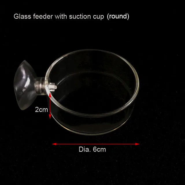 Glass Aquarium Feeder Tube Dish Transparent Fish Tank Shrimp Snail Food Feeder Bowl Aquarium Feeding Accessories Shrimp Feeders