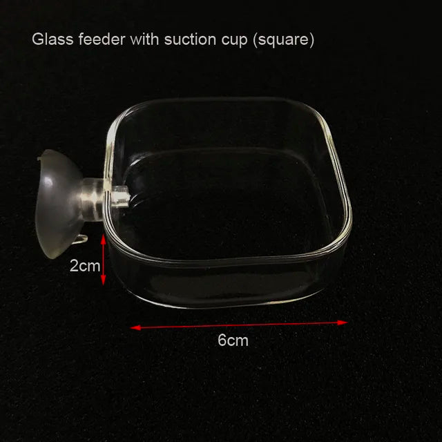 Glass Aquarium Feeder Tube Dish Transparent Fish Tank Shrimp Snail Food Feeder Bowl Aquarium Feeding Accessories Shrimp Feeders