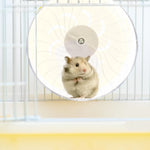 Hamster Running Wheel Toy Guinea Large Hedgehog Supplies Accessories Plastic Silent Chinchilla
