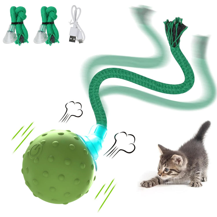Cat Rolling Ball Toy MotionActivated with Bird Sounds