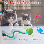 Cat Rolling Ball Toy MotionActivated with Bird Sounds