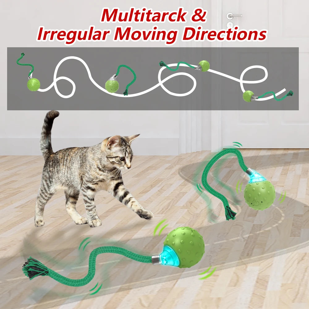 Cat Rolling Ball Toy MotionActivated with Bird Sounds