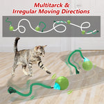 Cat Rolling Ball Toy MotionActivated with Bird Sounds