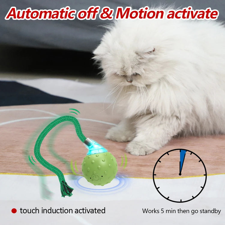 Cat Rolling Ball Toy MotionActivated with Bird Sounds