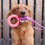 Interactive Training Pet Toy Ring Spiked Ring Dog Teeth Cleaning Pet Supplies