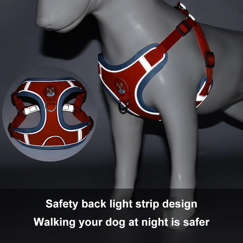 Comfort & Safety: Reflective No-Pull Harness and Leash Set